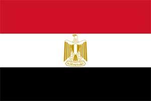 Adempimenti per gli esportatori comunitari in Egitto